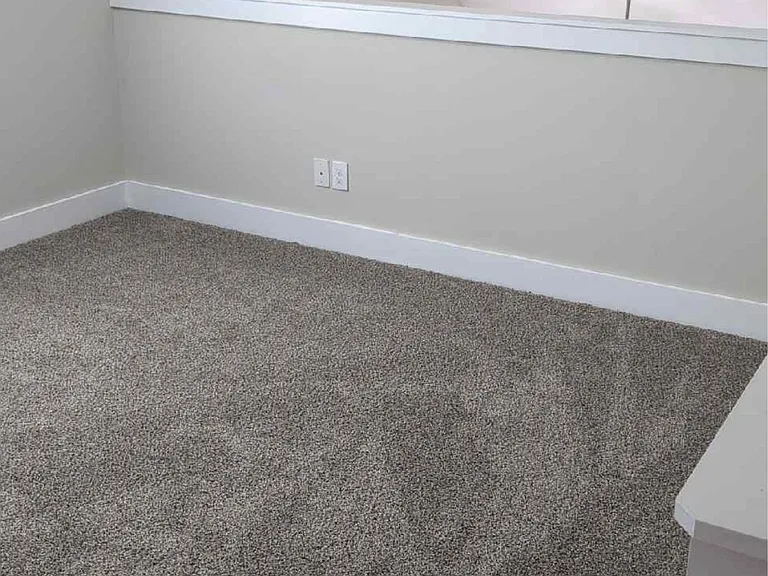 3536 Steffisburg Dr #1 — Photo 5