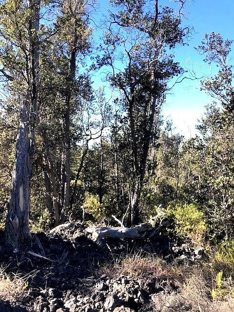 1st image of 92-1870 Sea Breeze Pkwy Lot 2-B