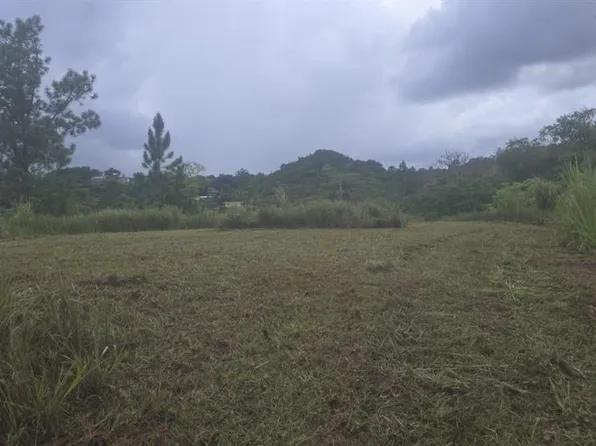 31 Fort Myers Dr Lot 31, Indian Lake Estates, FL 33855