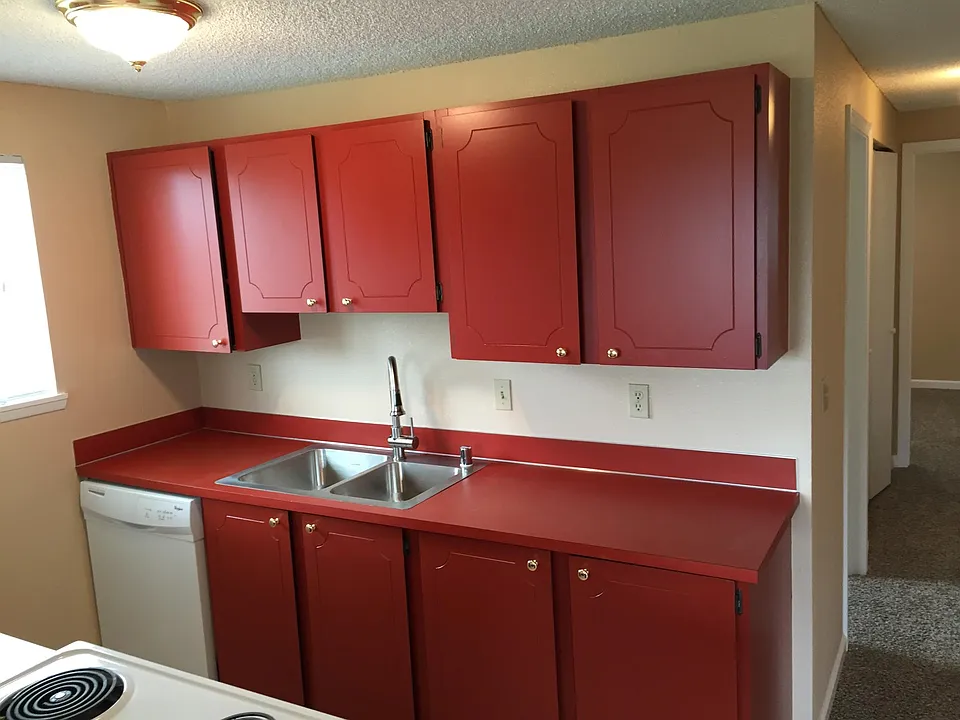 Kitchen w disposal/dishwasher (and really red clean/function