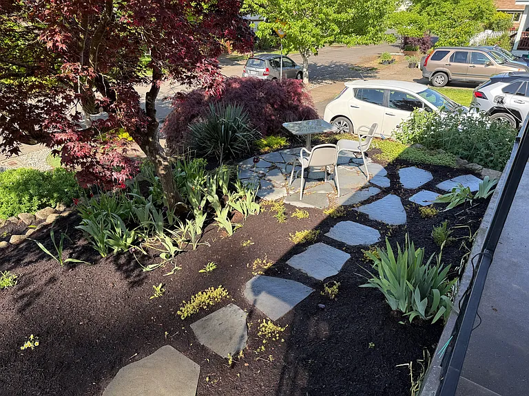 Front yard