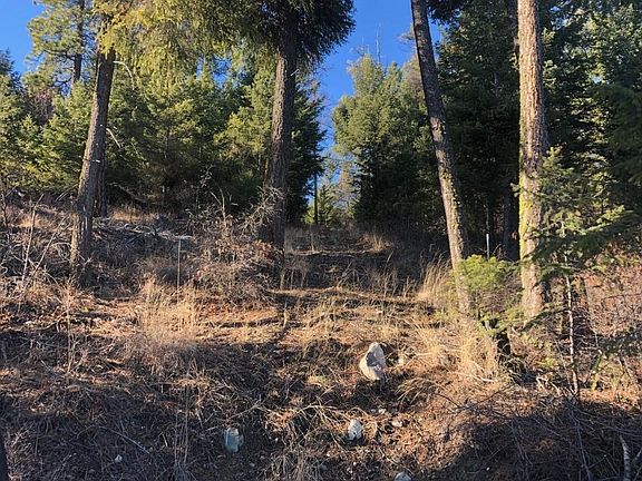 5th image of Nhn Big Lodge Ln