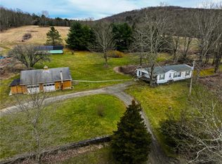 325 Owl Creek Rd, Spencer, NY 14883