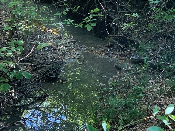 5th image of 0 Weston Rd