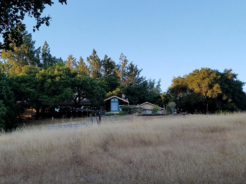 Natural meadow below home.