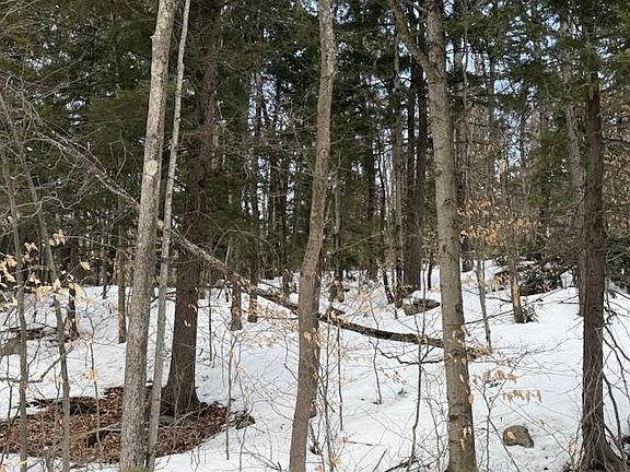 2nd image of Map 6 Lot 103 Route 16 Route