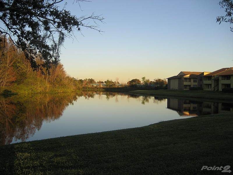 Millenia Cove Lake View
