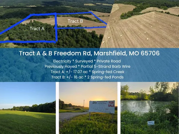 Tract B Freedom Road, Marshfield, MO 65706