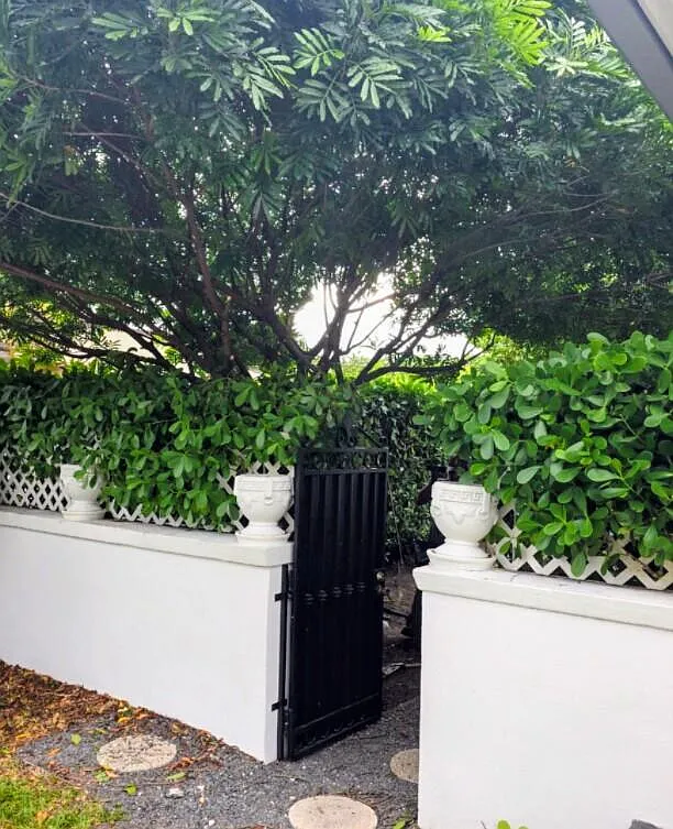 Tangier St, Coral Gables — Photo 2
