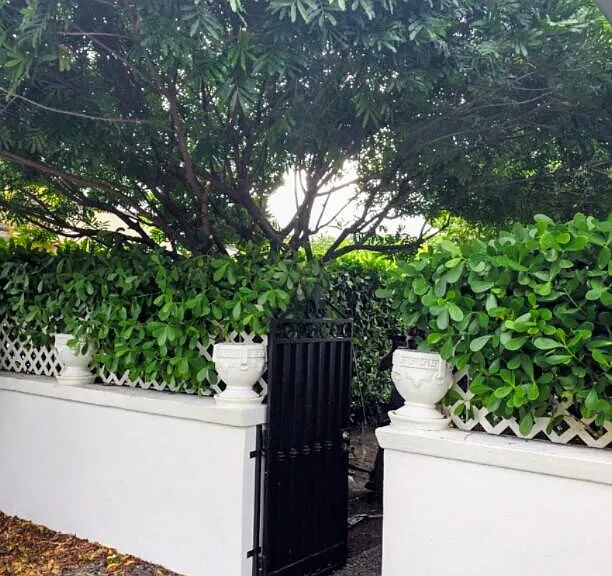 Private entrance to garden & tiny vintage home
