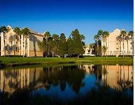 3rd image of 8200 Palm Pkwy #3