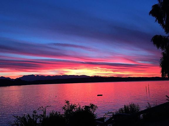 Sunset out back window
