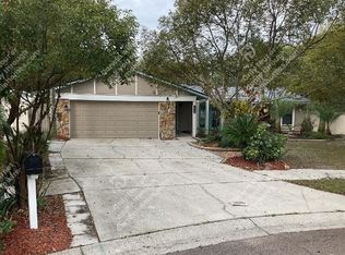 4105 Fallon Ct, Brandon, FL 33511