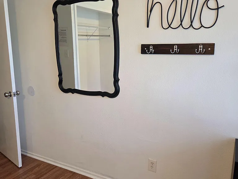 Entry area with wall-mounted hooks, decorative mirror, and nearby closet storage plus durable wood-look flooring.