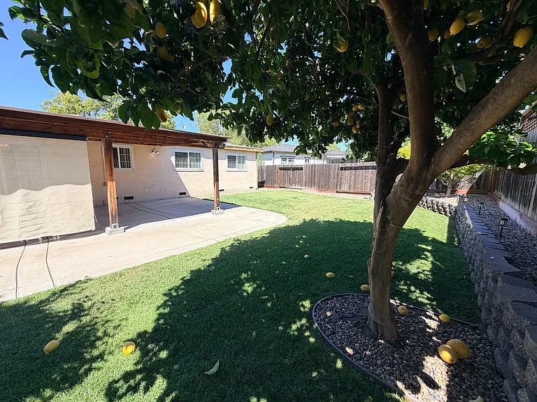 201 Thomas Way — Photo 19