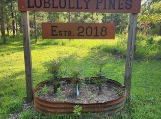 160 Ryan Ln, Allendale, SC 29810