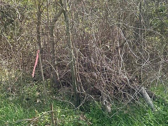 5th image of 1270 Operators Ln