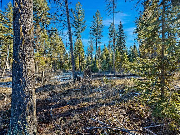 5th image of Nhn N Dayton Creek Rd Lot 7