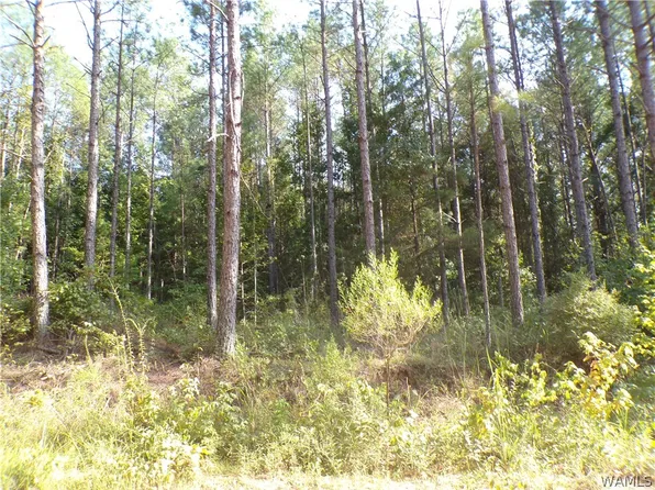 0 Luxapallila Rd, Fayette, AL 35555