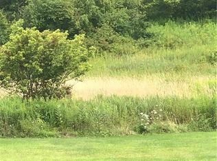 2674 Ten Mile Rd, Allegany, NY 14706