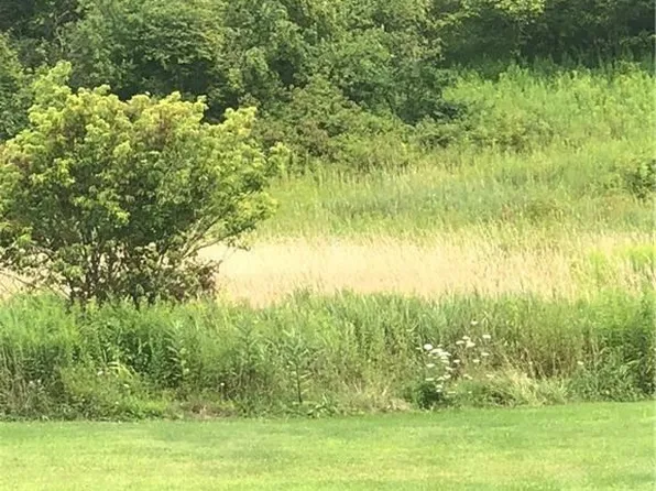 2674 Ten Mile Rd, Allegany, NY 14706