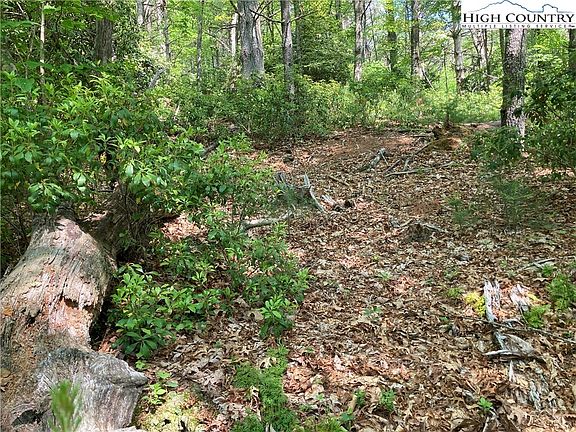 3rd image of TBD Brightwater-Lot 49 Trail