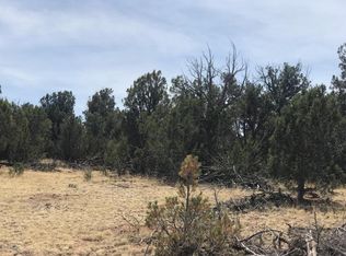 2201 Graphite Rd, Clay Springs, AZ 85923