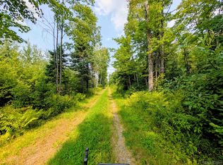 160 Acres Camp Gibbs Rd, Iron River, MI 49935