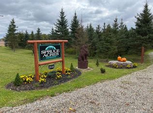 20311 Waldo Rd, Chelsea, MI 48118