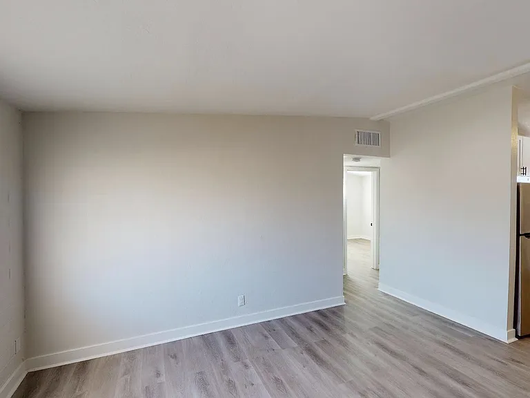 1011 E Amelia Ave — Photo 19