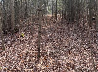 0 Blue Ridge Ln Lot 21, Monroe, VA 24574