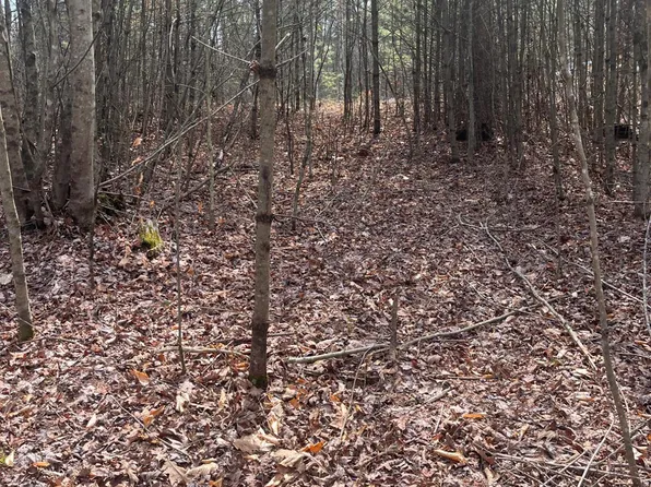 0 Blue Ridge Ln Lot 21, Monroe, VA 24574