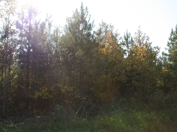 1132 Trailer Park Rd, Victoria, VA 23974