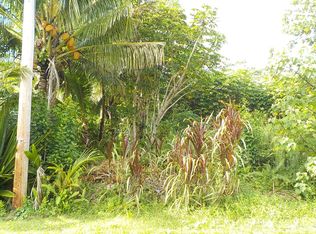 Eelekoa St LOT 277, Pahoa, HI 96778