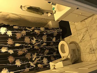 Rented by J Misrahi Realty Corp