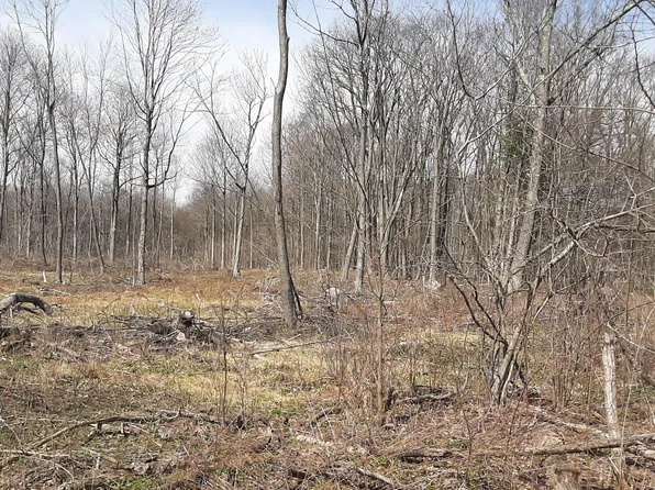 0 Coupon Gallitzin Rd, Gallitzin, PA 16641