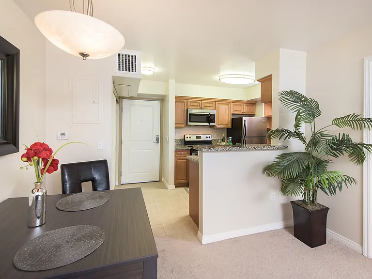 Santa Teresa Apartments — Photo 17