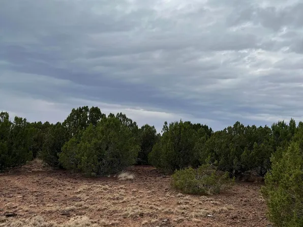 8776 CLARK Road #-, Show Low, AZ 85901
