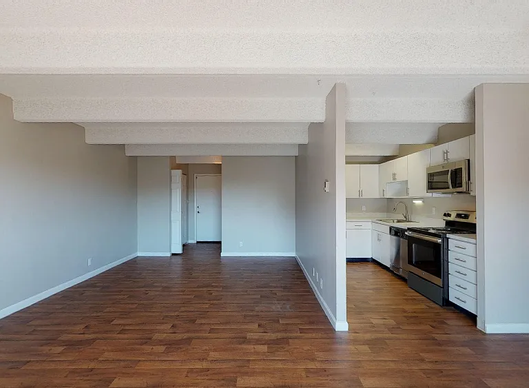 Spacious living and kitchen area