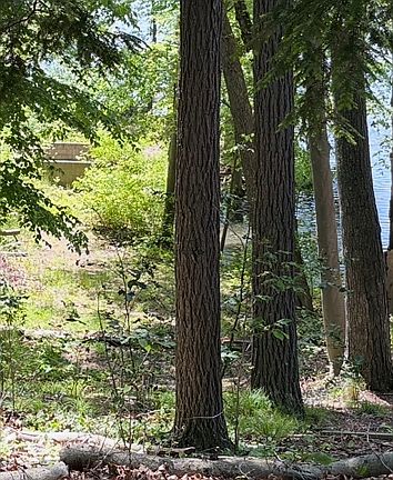 2nd image of 123 Dudley Rd