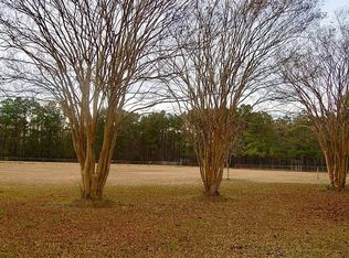 542 Pecan Orchard Dr, Ridgeville, SC 29472