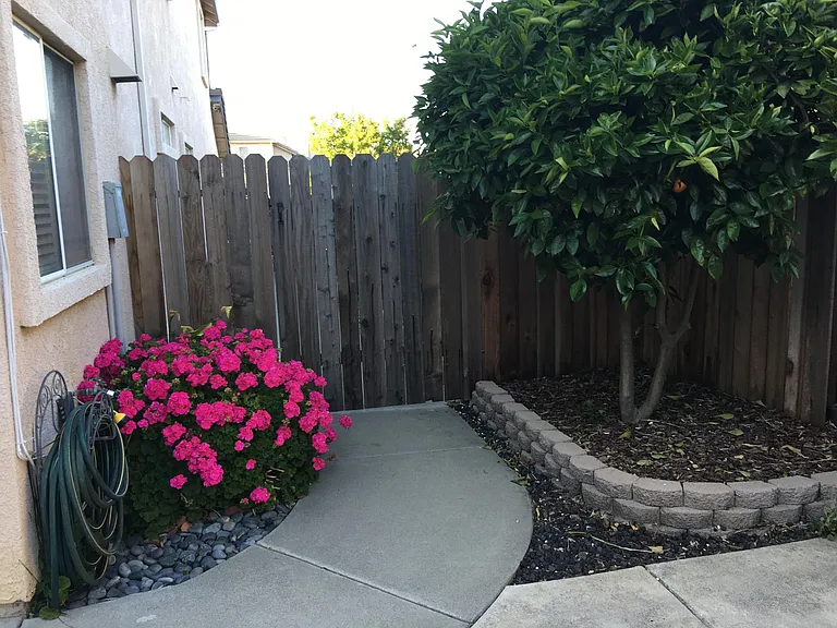 961 Celestine Cir — Photo 35