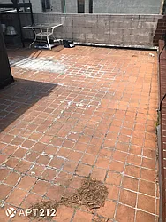 Rented by APT212 INC