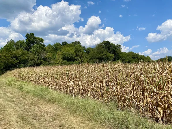 31 Morris Rd, Leoma, TN 38468