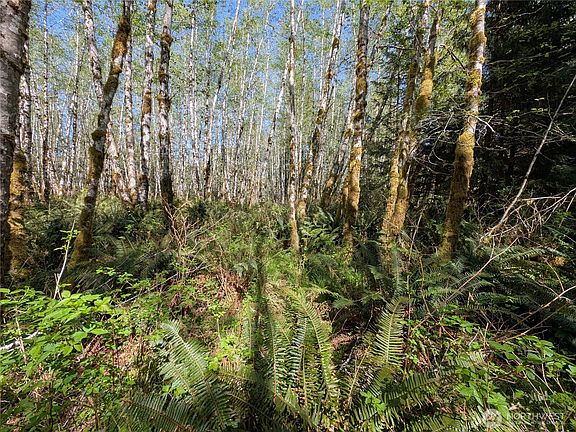 5th image of 999 Hoh River Park Drive