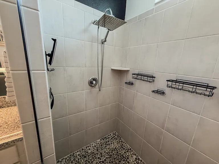 Primary Bathroom Shower
