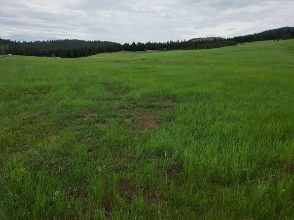 37 Old Rnch House Road Lot 1, Republic, WA 99166