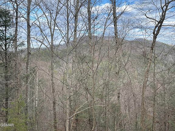 5th image of LOT 79 Whetstone Rd