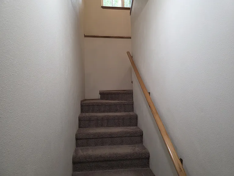 384 Selkirk Dr — Photo 13