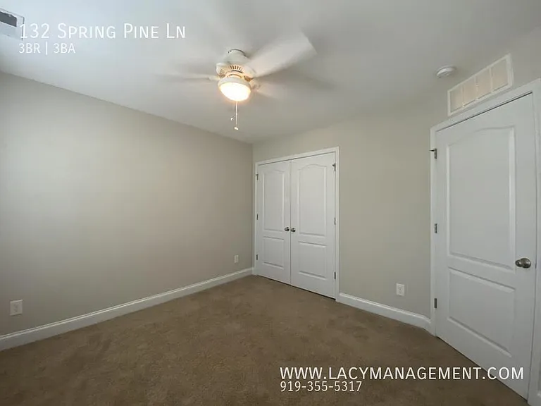 132 Spring Pine Ln — Photo 24